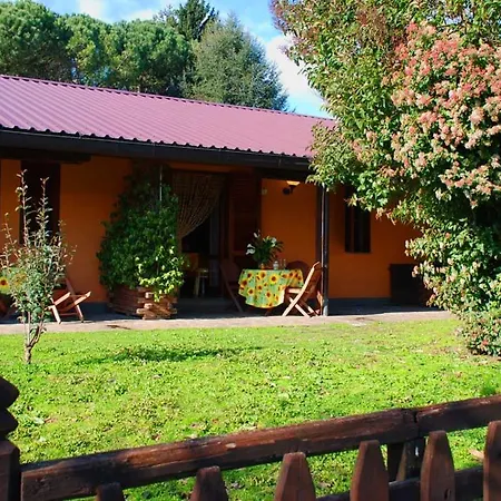 Azienda Agricola Armando Iacchelli Farm stay *