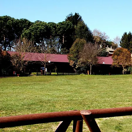 Azienda Agricola Armando Iacchelli *